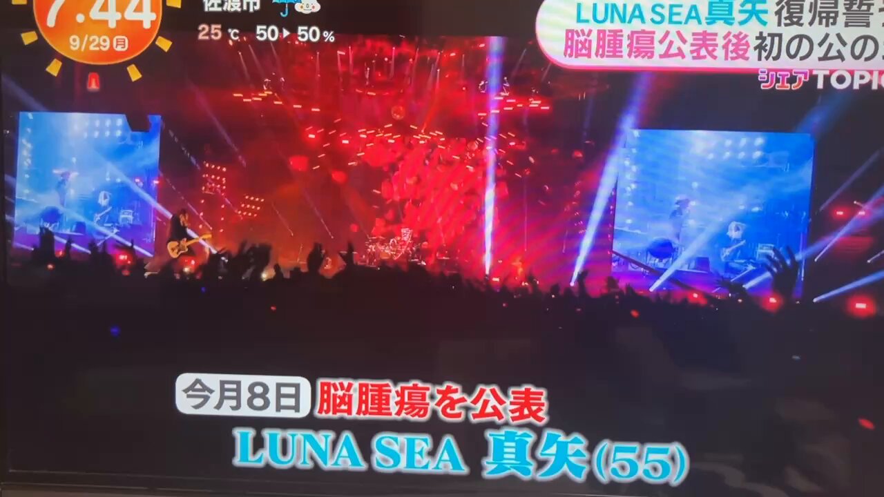 ヒヨコさま確認ページ♡ 東京娘 Tokyo Girl | ◀︎check tokyo girl Title📹:七の歌 もし