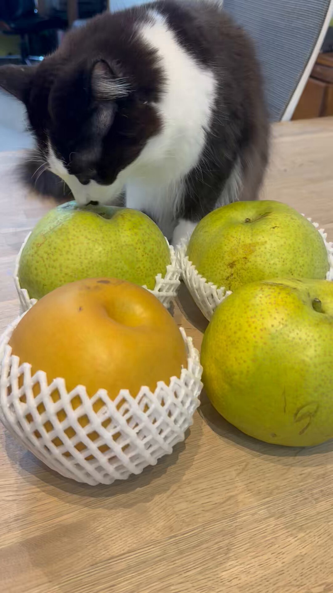 かおり - Search / X