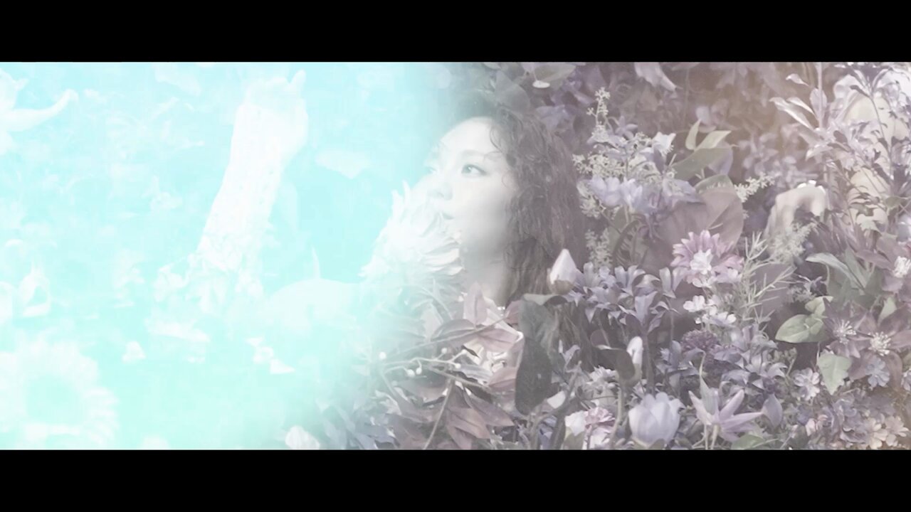 HANA (@HANA__BRAVE) / X