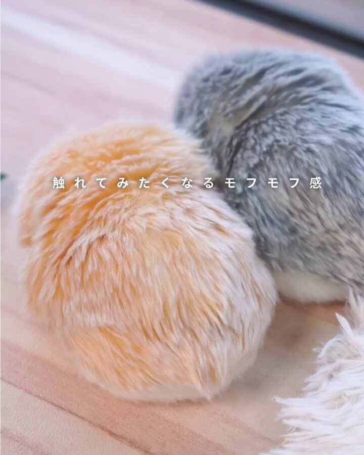 公式】Moflin（モフリン）｜感情が育つAIペット (@casio_moflin) / X
