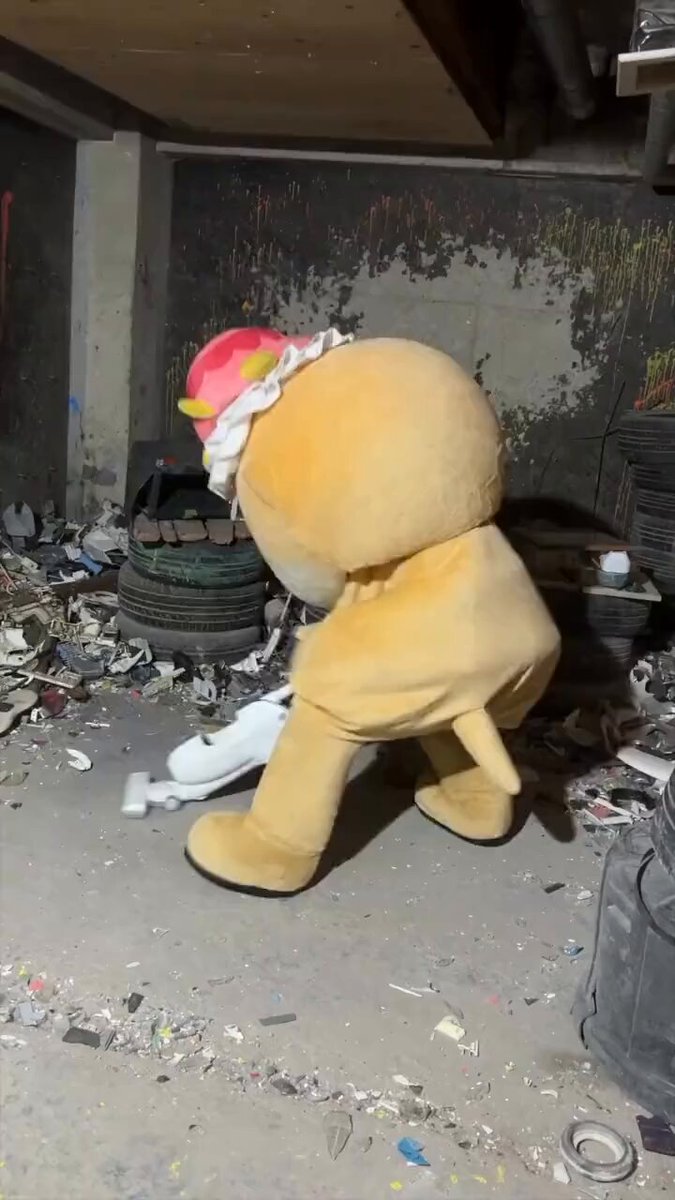 jScT1_MAjDZIQrNz.jpg