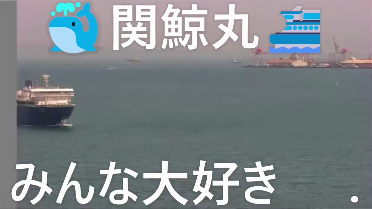 くじら様お願いいたします。 くじらによる「先輩はおとこのこ」OP・ED両主題歌CD発売決定