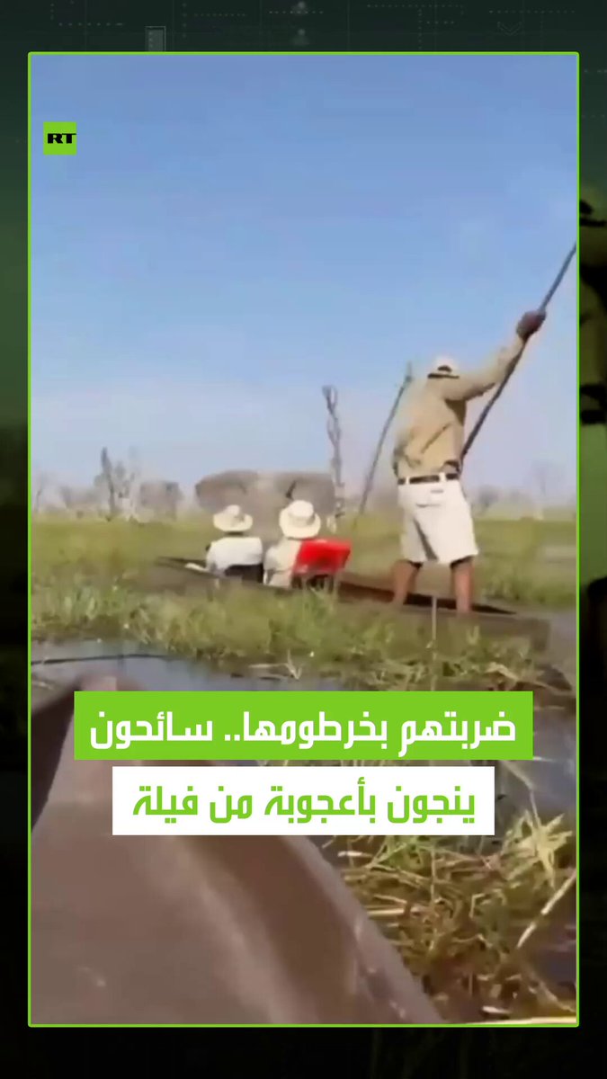ضربتهم بخرطومها.. سائحون ينجون بأعجوبة من فيلة أثناء اقترابهم من صغارها في بوتسوانا. #منوعات 