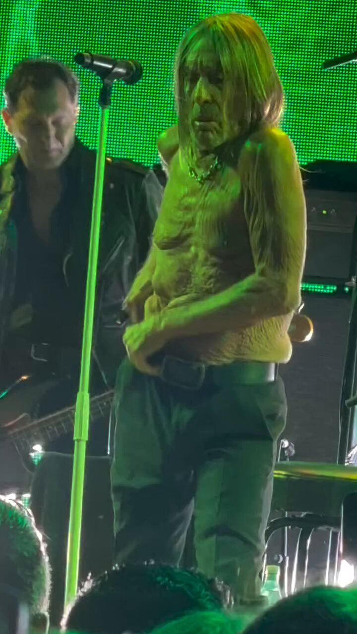 Punkandyo ビーニー fit Punk iggy Punkandyo ビーニー fit Punk iggy