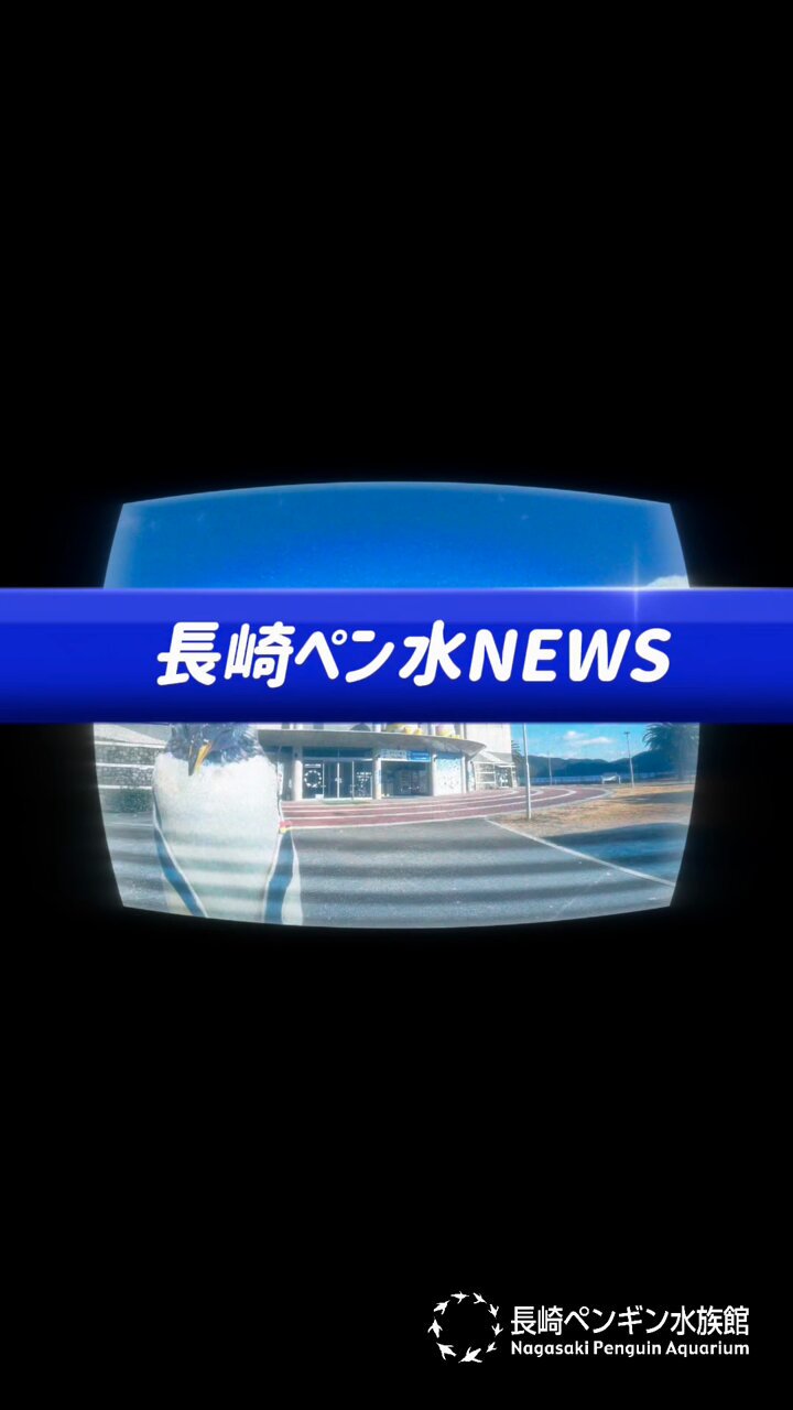 くう様 K-596T-ZZ-CP Simplice kitchen faucet シンプライス シングル