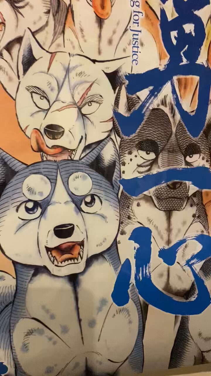 高橋よしひろ先生　手ぬぐい 高橋よしひろ先生 手ぬぐい 高橋よしひろ先生 手ぬぐい 🌌高橋