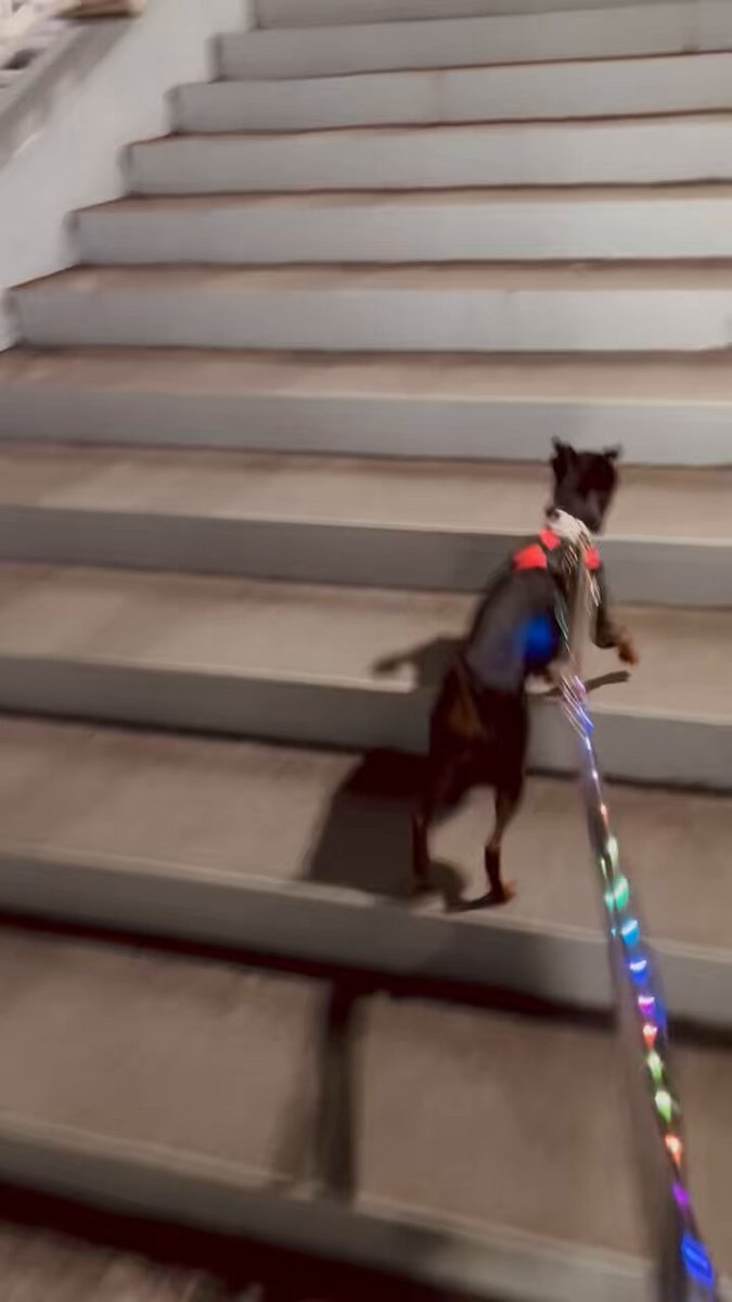 薔薇子様 薔薇子™ (@vallaco) / X