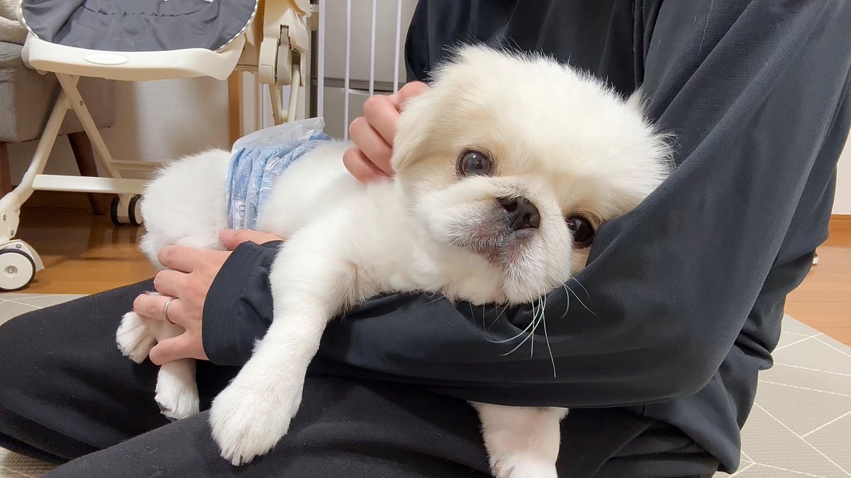 まっこ (@mac1005mm) / Posts / X