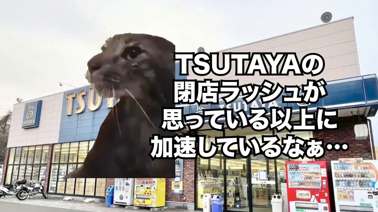 よこっち　① maxresdefault.jpg?sqp=-