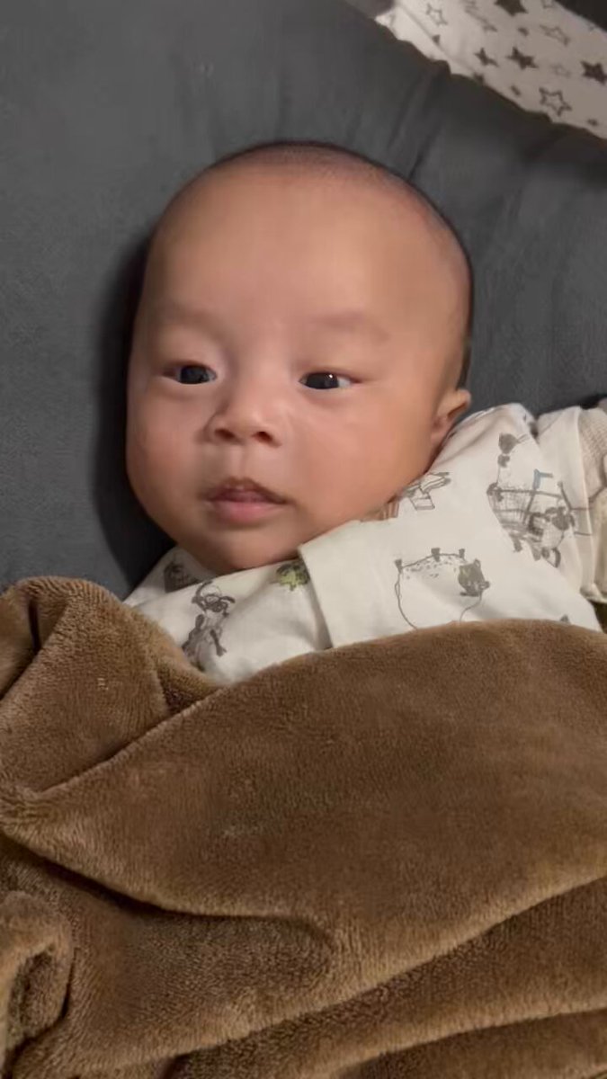 よーこりん🤍よーこ様🐱 (@dartsyokorin) / Posts / X