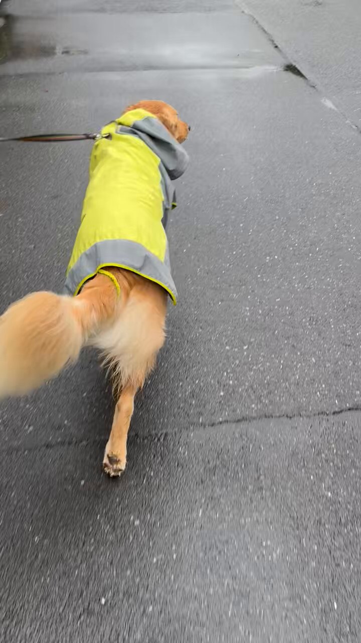 むぎとエール (@mugimeshi05) / X