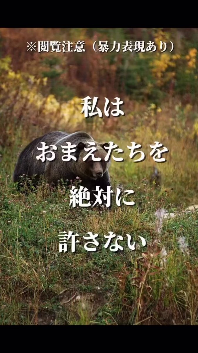 流れ星 (@_nagareboshi) / X