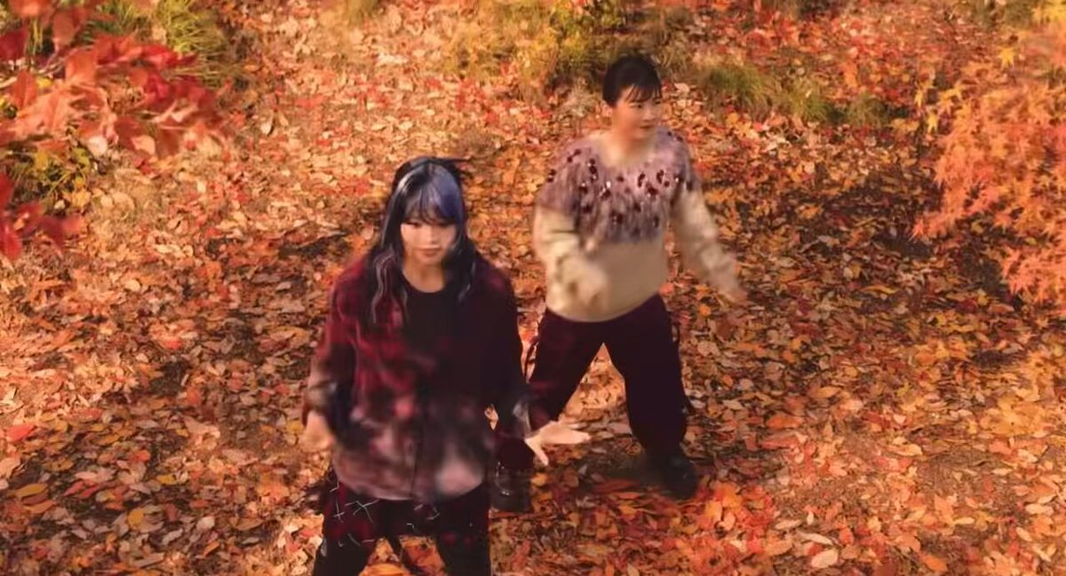 𝒓𝒖𝒓𝒖 on X