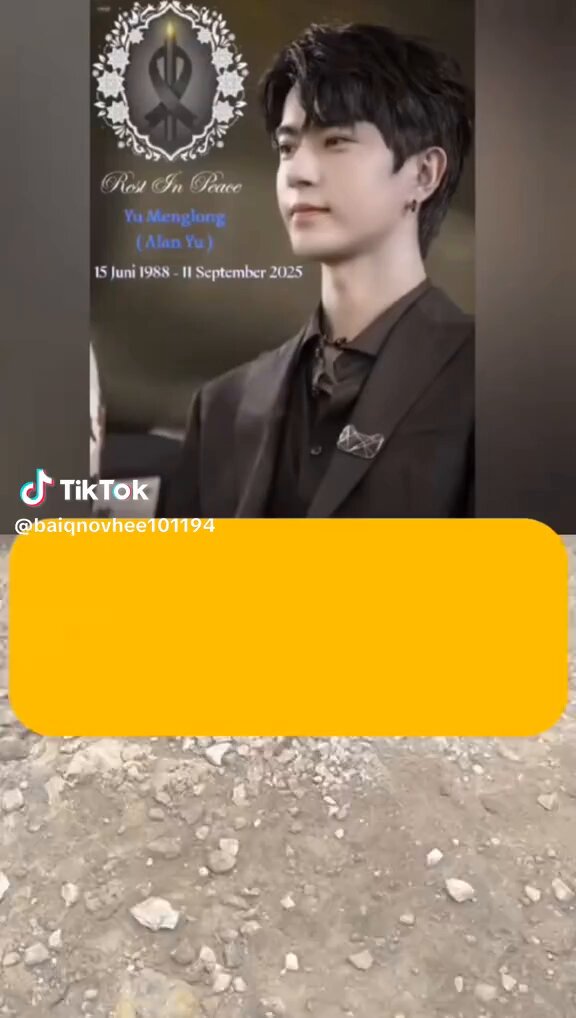 Embedded video