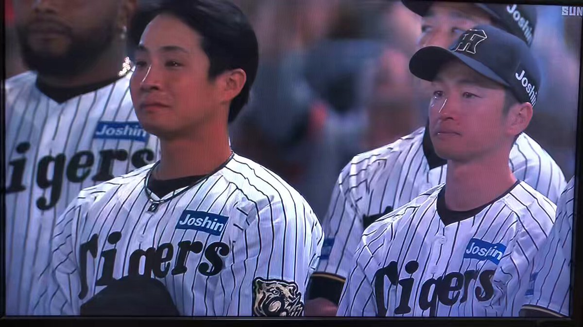 入手困難　希少　EVISU カウチンニット ブルゾン　38 阪神タイガース 大きいサイズ＞ジャガードニットチュニック 通販【ニッセン】