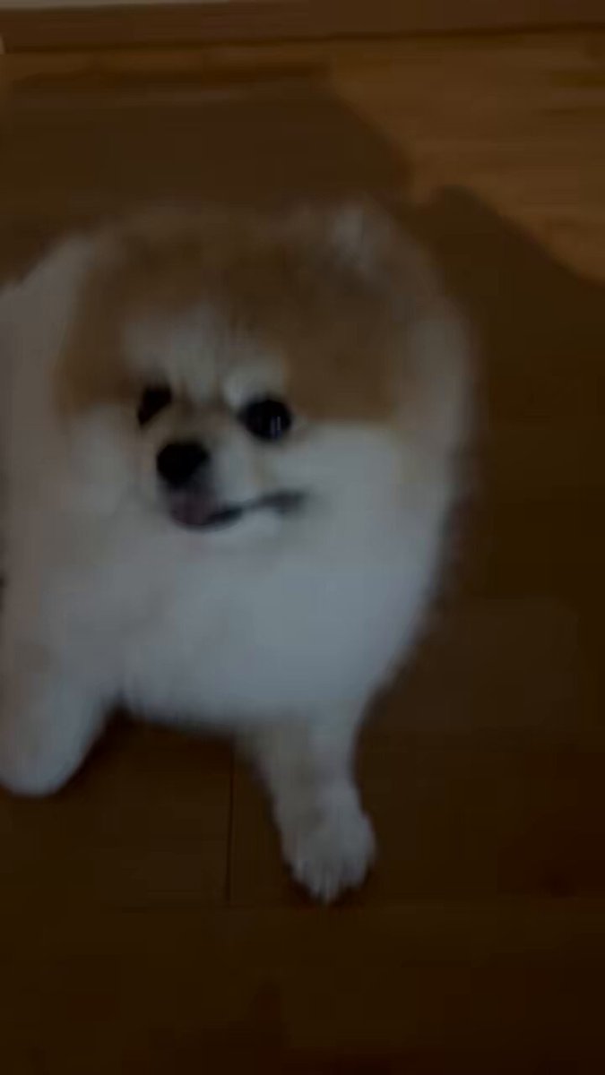 Riki Papa (@RikiPapa12) / X