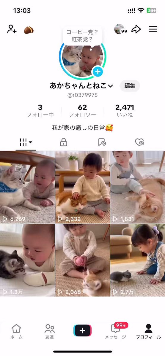 トシコ プロフご覧ください。ページ タジマ コンベックス 安全セフGロックマグ爪 25mm幅5.5m