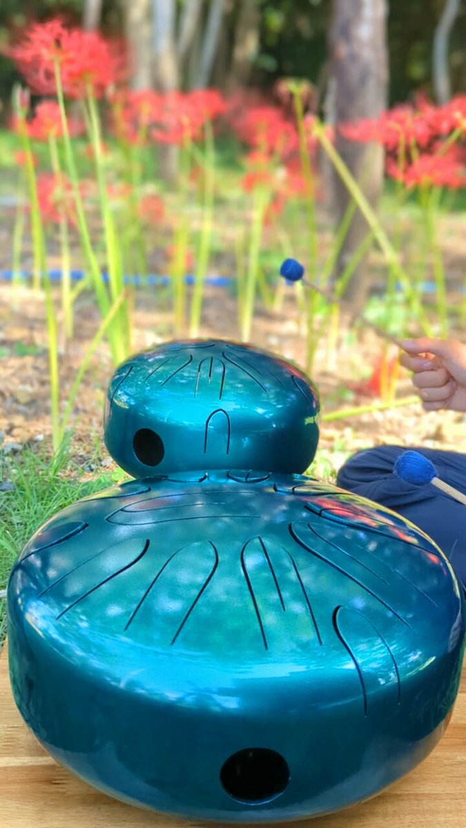 さざなみ楽器工房 / さざなみドラム・クリスタルハープ