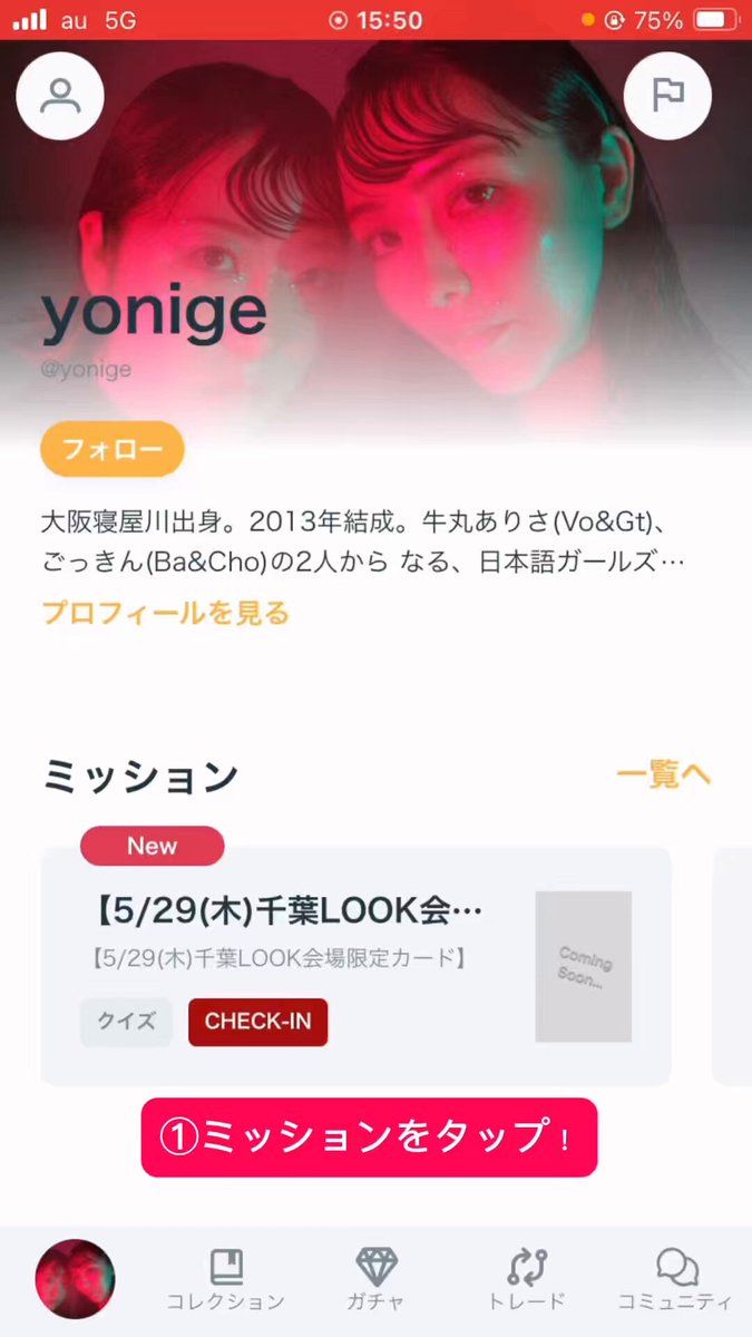 ゴ*ン様 ✳︎お盆企画✳︎豪華３1枚セット✳︎説明欄を要チェック✳︎ジャパレゲ ಠ⁠_⁠ಠ