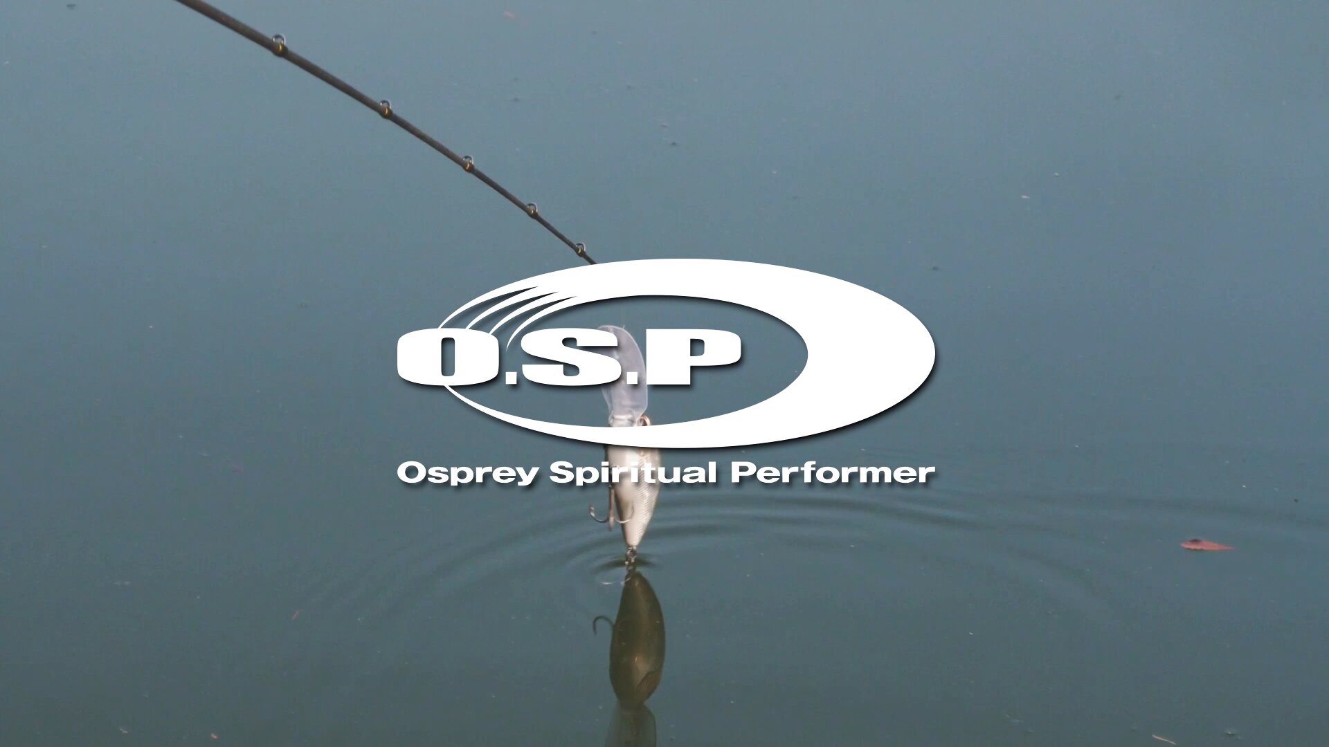 O.S.P Official (@OSP_tweets) / X