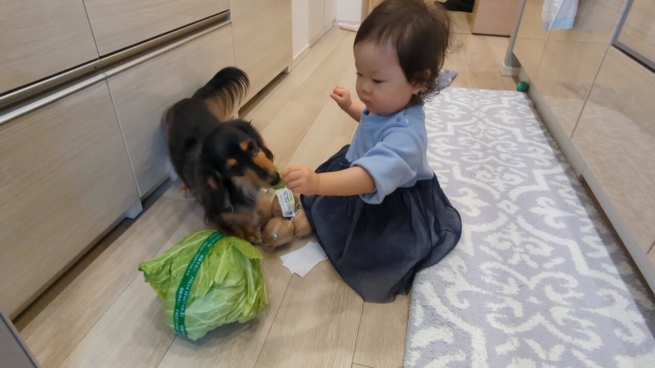 こうちゃん@プロフ見てください専用 まるちゃんオンライン予約受付ですよ！ Posted @withregram