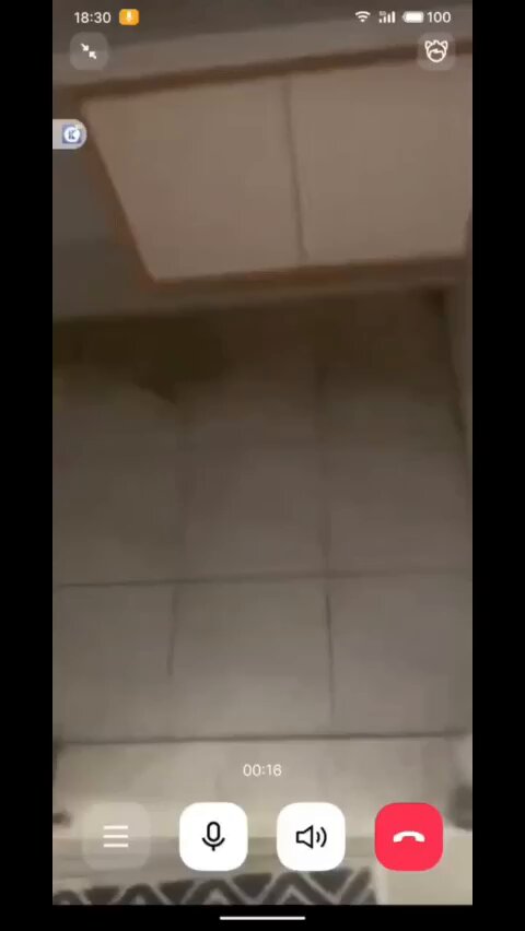 Porn Picture