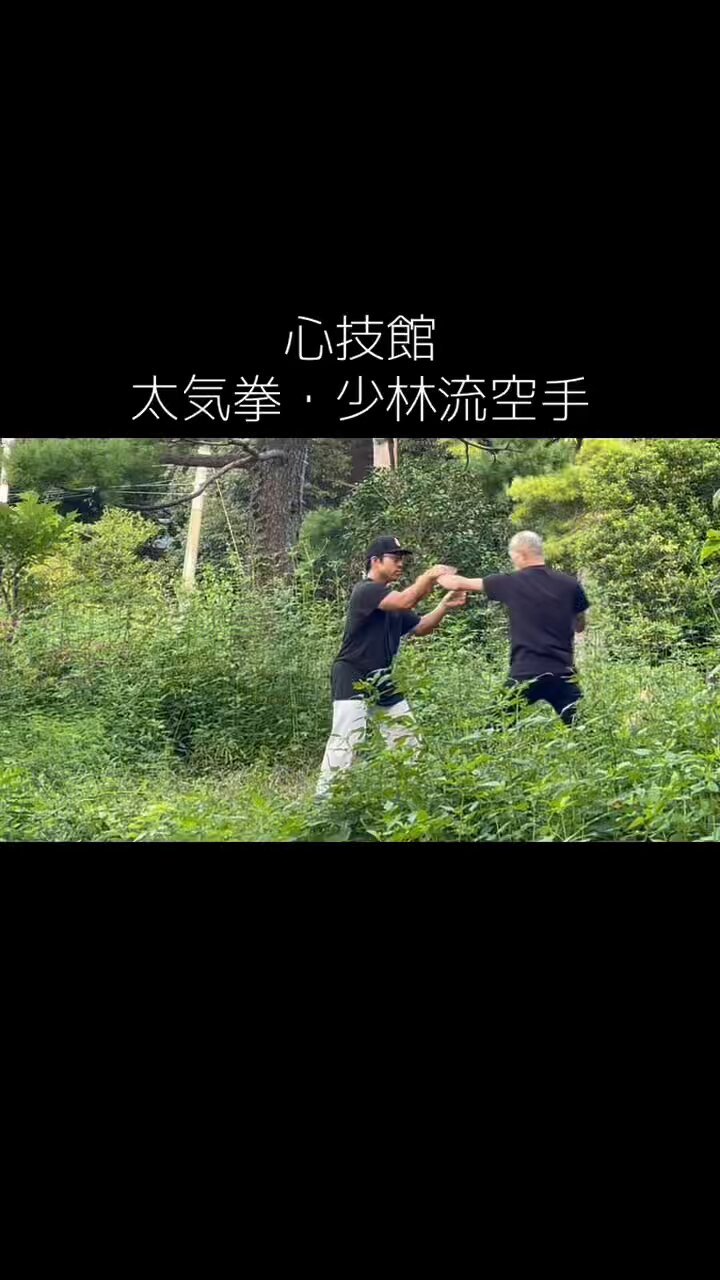 タクティカル・シラット (@tacticalsilat) / X