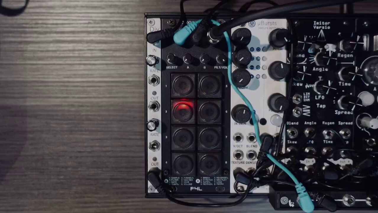 P4L DUCK モジュラーシンセ P4L— Clockface Modular