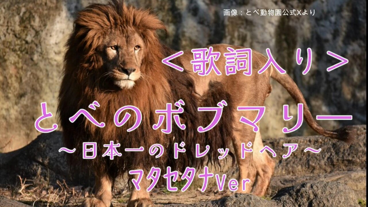 ライオンのネオ - Search / X