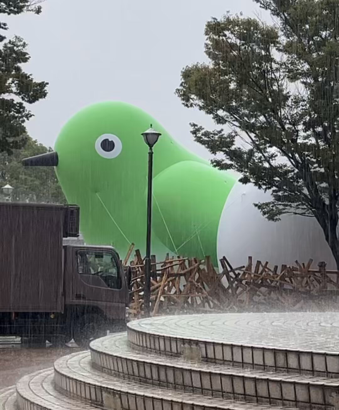 wataboku (@wataboku_) / X