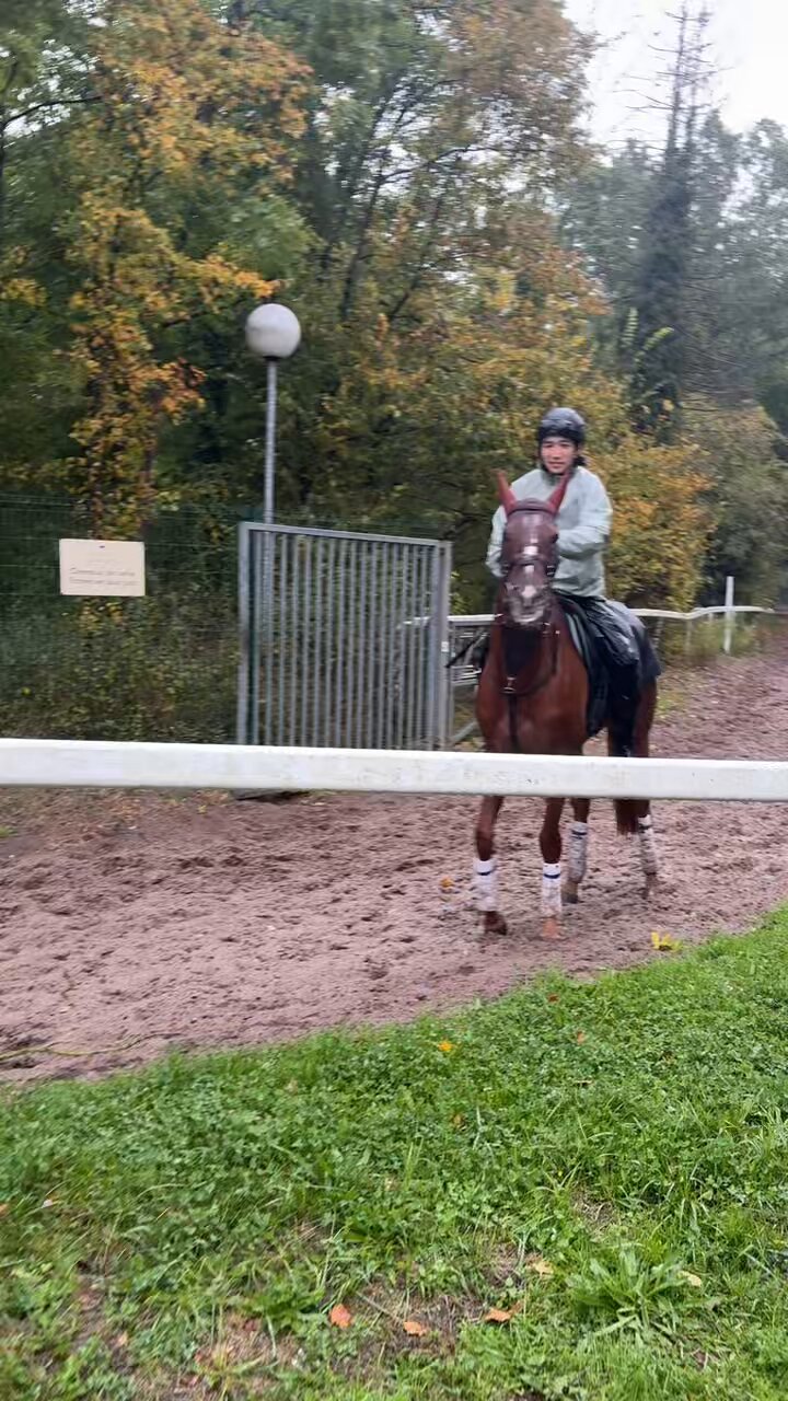 ちーくん様確認 個別スイッチ付3AC2USB3.4A2mホワイト｜YAZAWA CORPORATION