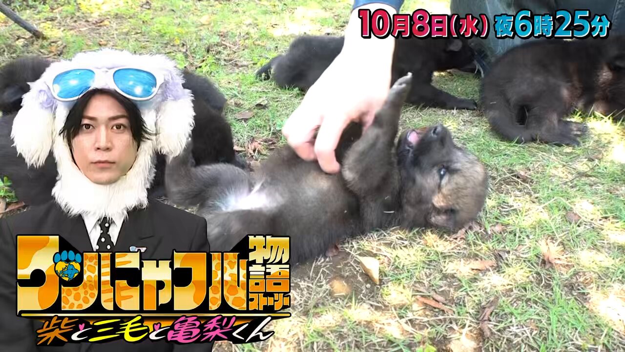 KAMEKAME SOURS 亀梨和也 懸賞 ワンピース ドレス カメカメ 亀梨和也