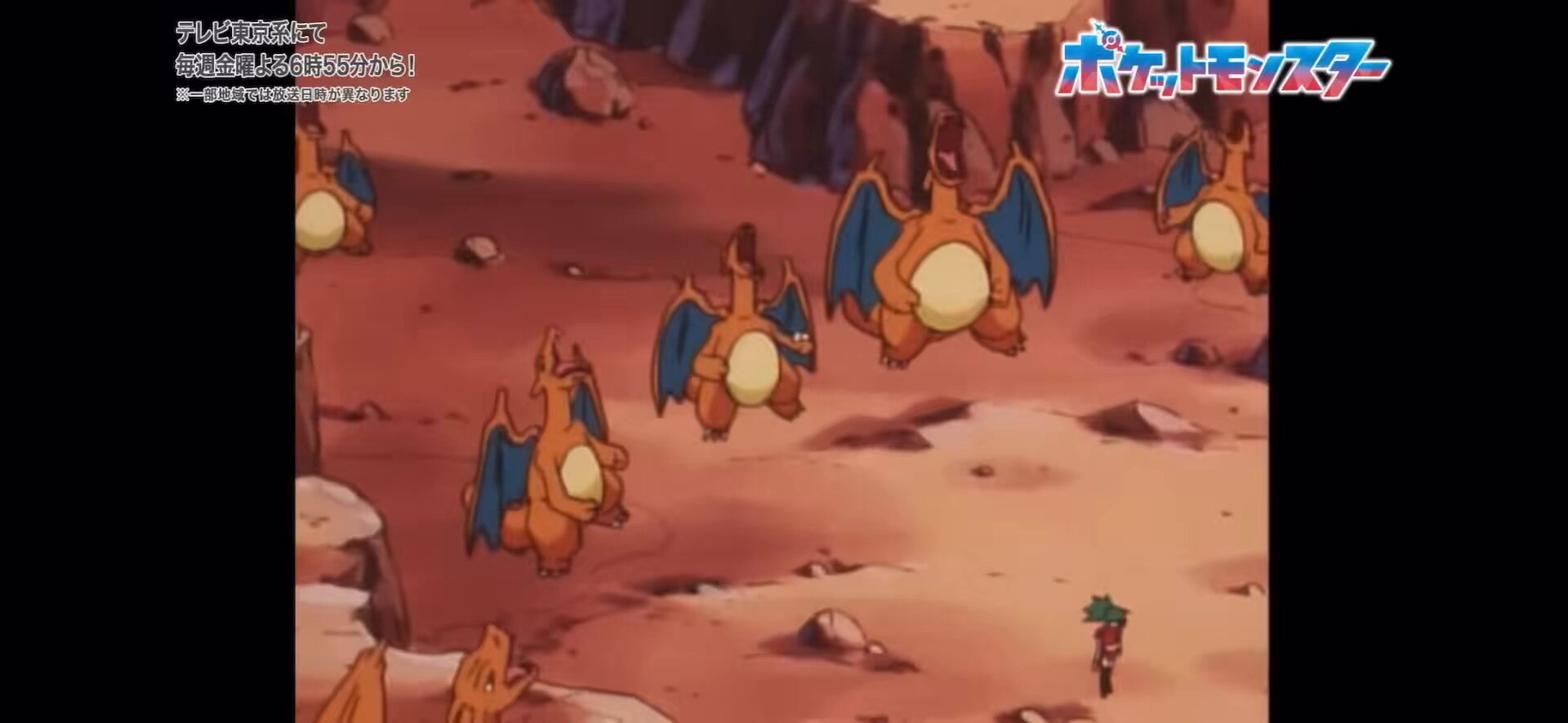 これが来てから金運爆上がり！サシがピカピカで多い！すっごい