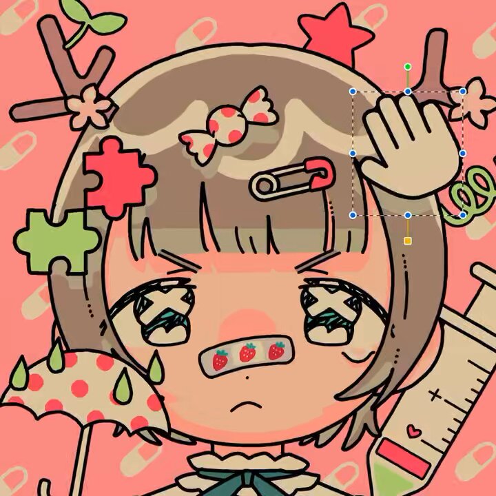 エヌです　COWRIES　マリコリセテダカラガイ　貝殻　おまけ付き 楽天市場】貝殻 シェルコレクション アマオブネガイ ミックス