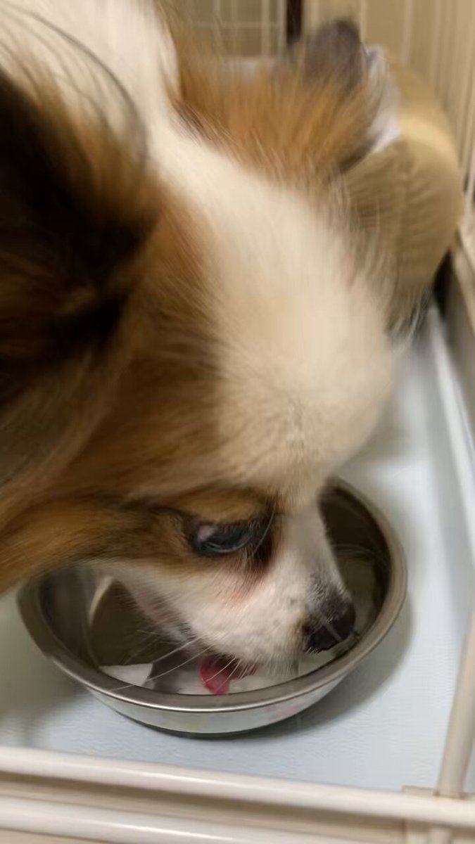 23%E3%81%B2%E3%81%A8%E3%82%8A%E3%81%98%E3%82%83%E3%81%AA%E3%81%84