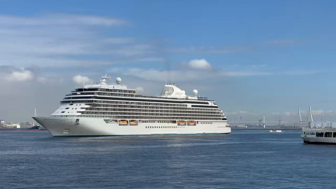 SEABASS/横浜のシーバス【公式】 on X: 