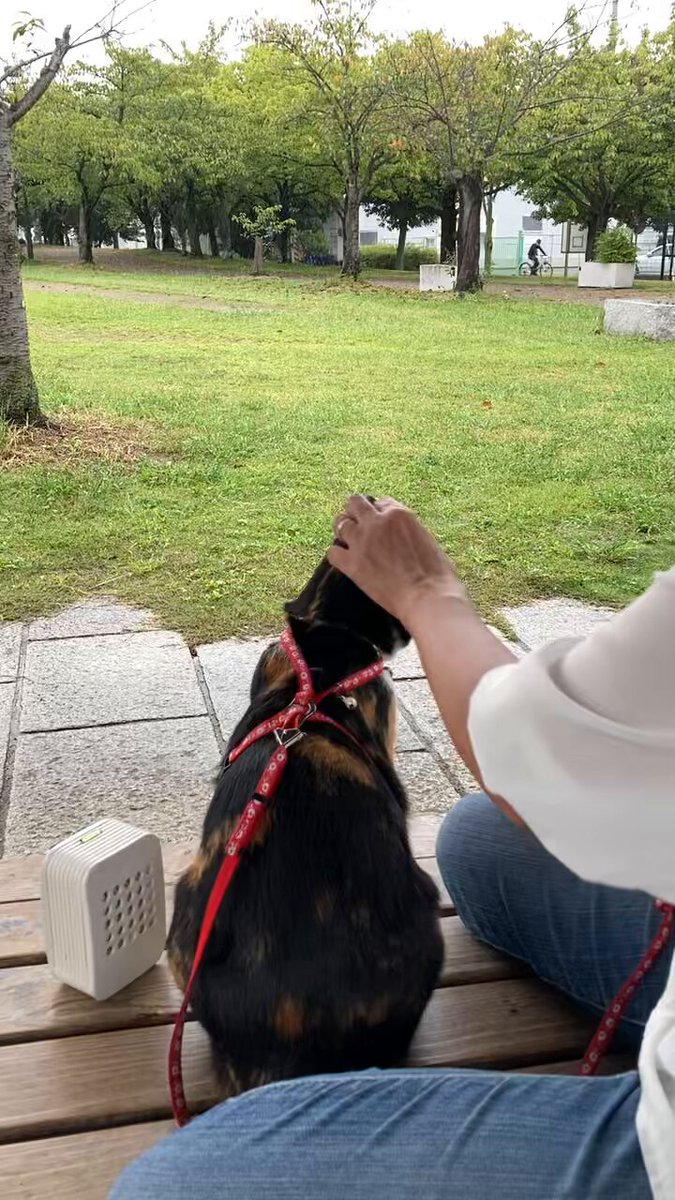 ぴーちゃん (@pychann1112) / X