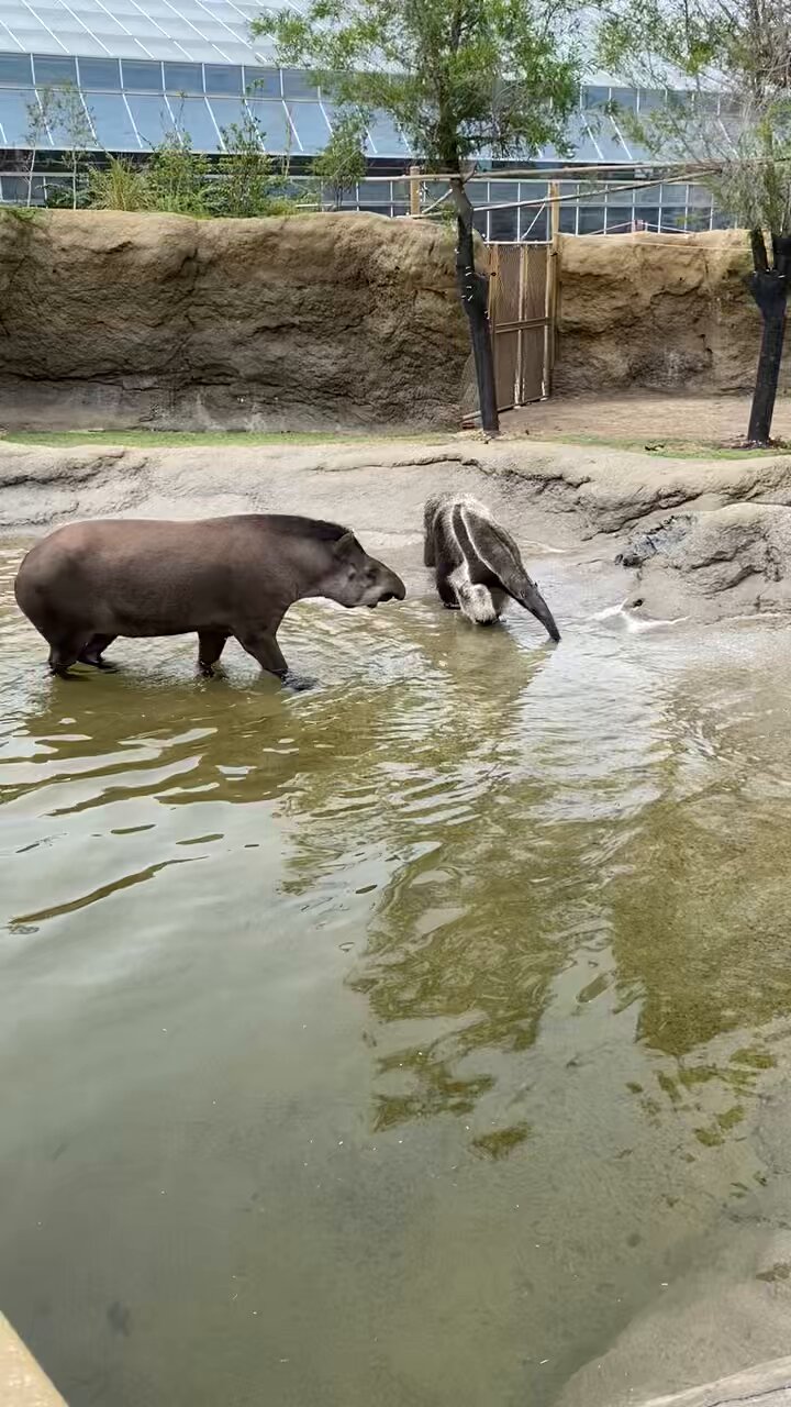 森の中の動物園 仙台市太白区】ドキドキワクワク☆夜の動物園散策はいかが