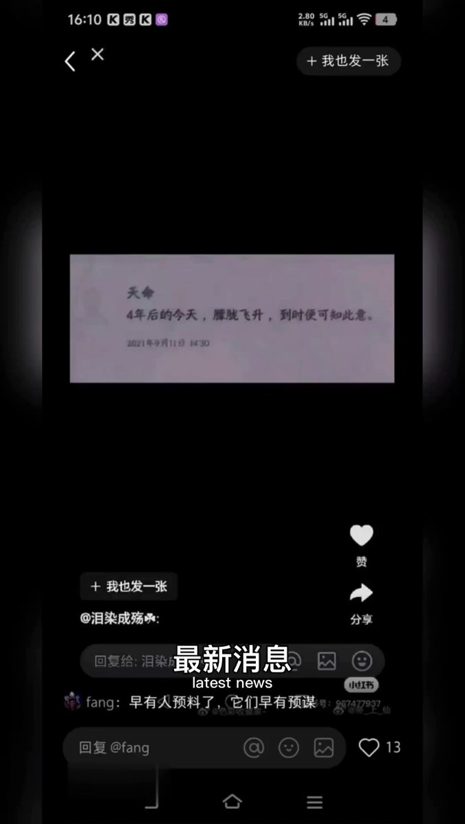 Embedded video