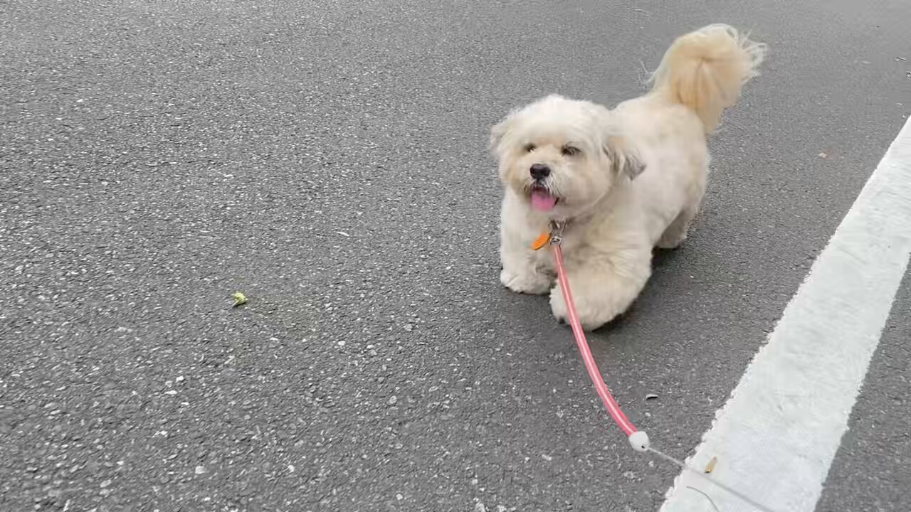 たっくんページ たっくん (@takkuunnnn) / X