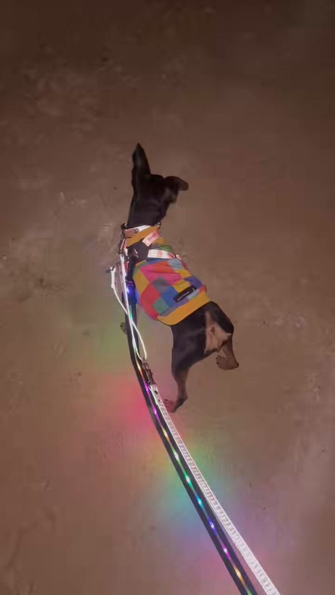 薔薇子様 薔薇子™ (@vallaco) / X