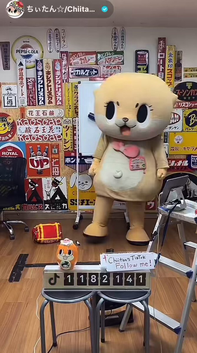 ちぃたん様の専用ページ Highlights by 公式：ちぃたん☆広島 (@chiitanmomiji) / X