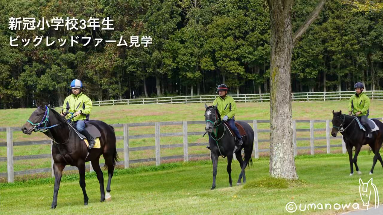 grey swirl (@fuku_mobin) / X