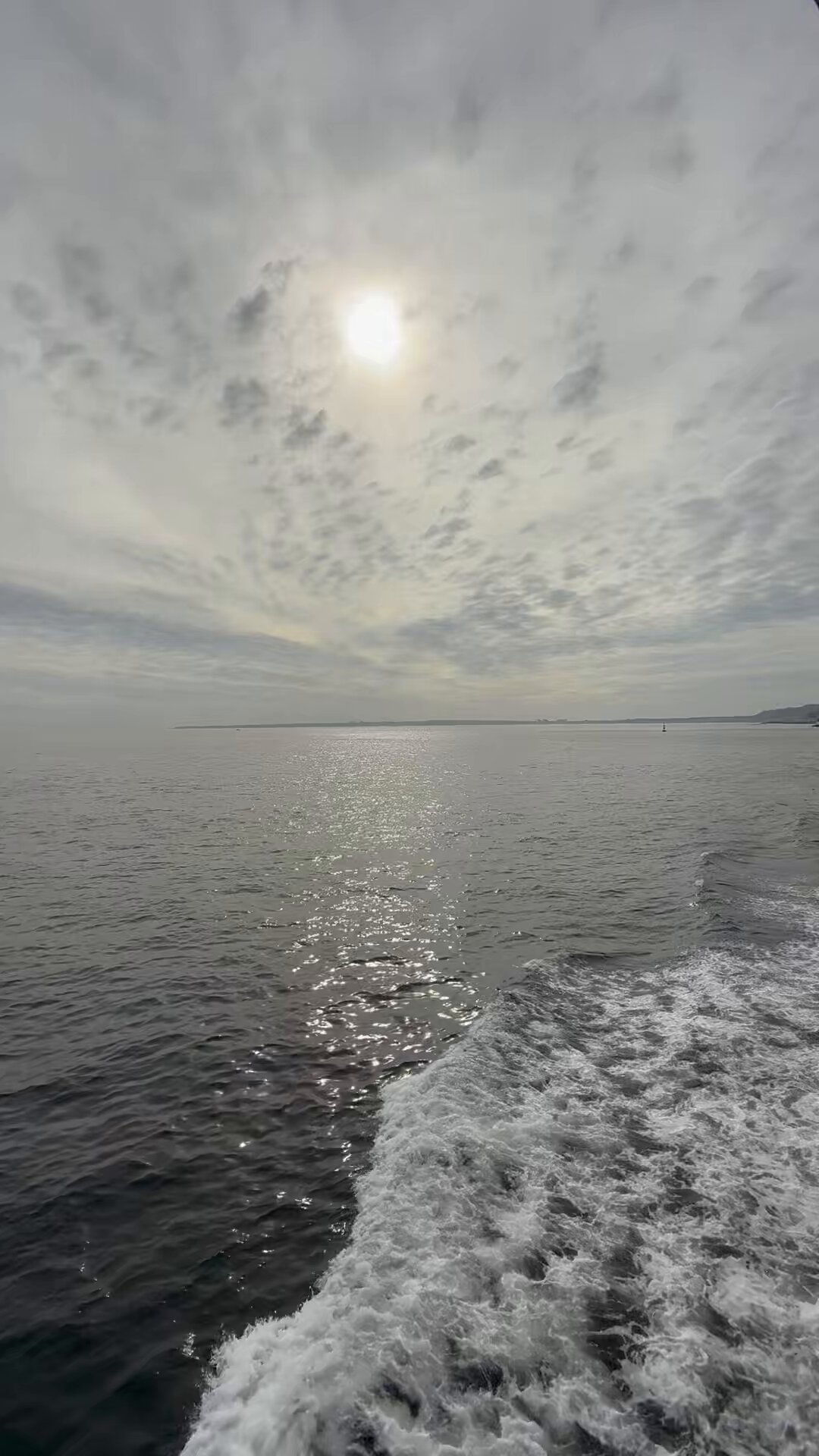 ウェザーリポート - Search / X