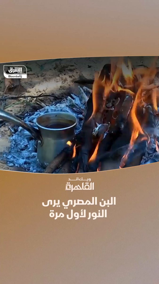 البن المصري يرى النور في الإسماعيلية.. بداية صغيرة بطموحات اقتصادية كبيرة 
