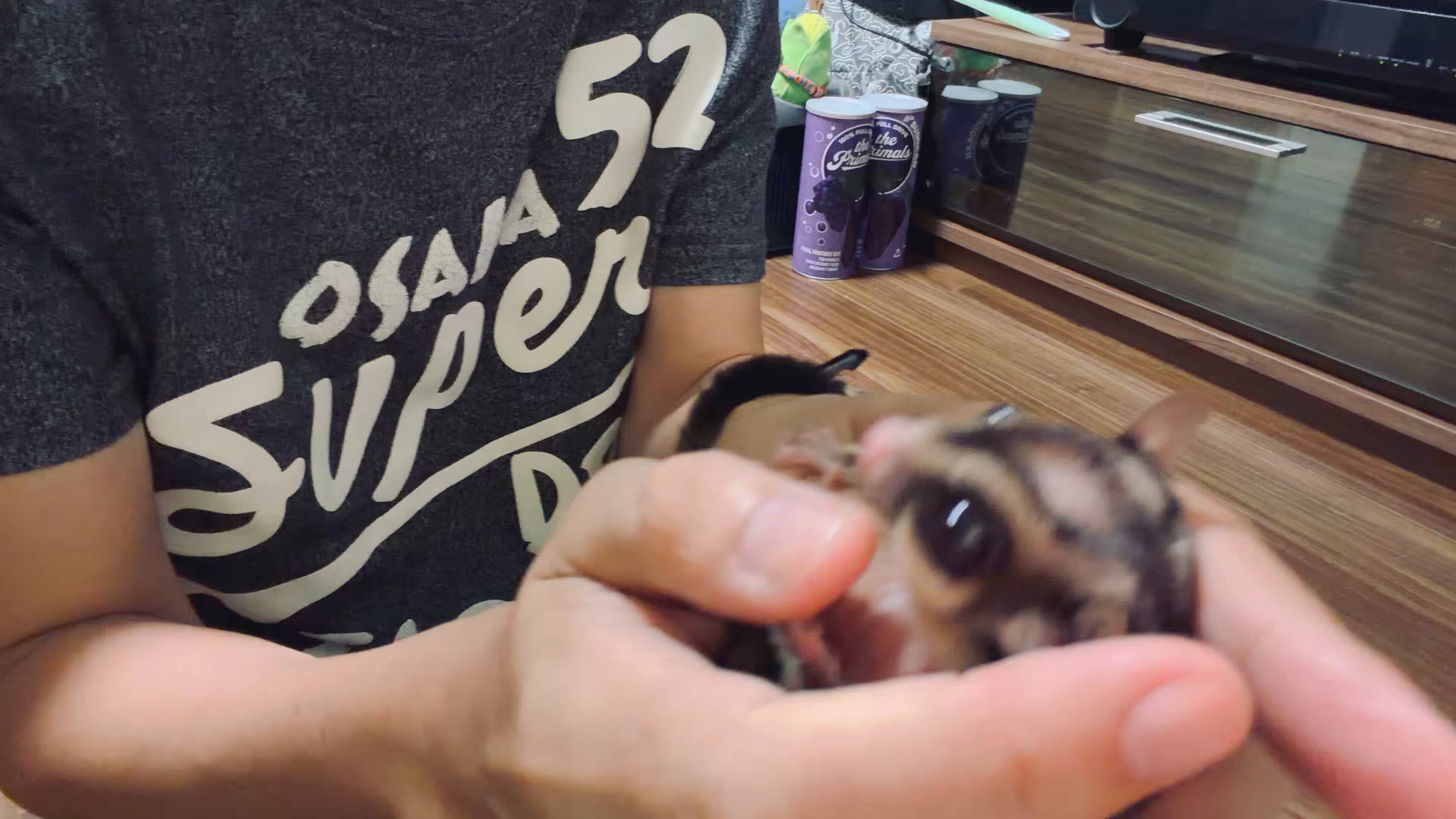 バンヴィ＠Zeromus🜸 (@banvi19) / X