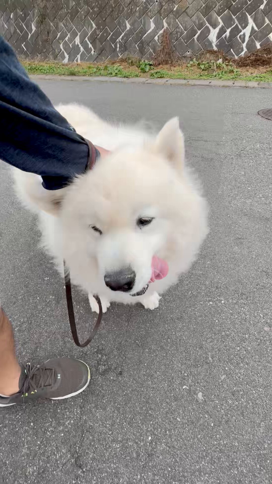 ∽もっちー∽ (@rx78sc) / X