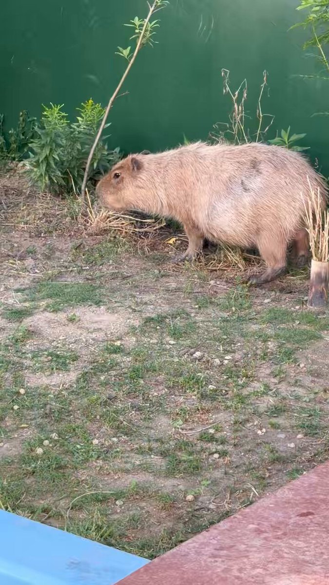 めめちゃん - Search / X