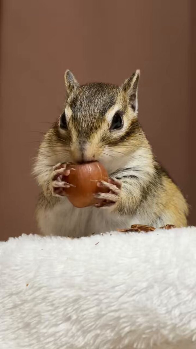 ななちょこてんぶちページです♡ ねむち️️️⛅️💙 (@nemuchi_ayn526) / X