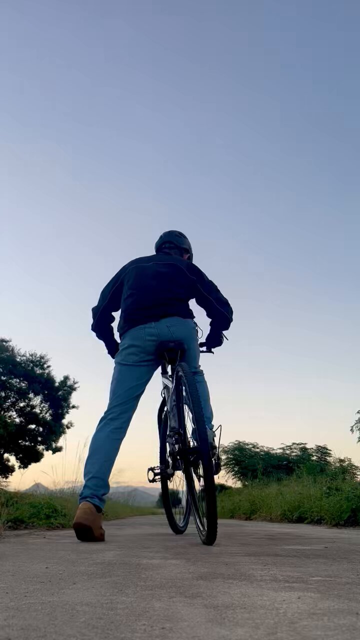 きこりな エコー金属 木工鋸 0547-667 1箱(10個入)（直送品） - アスクル